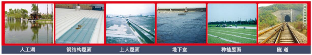 qq截圖20201212150540